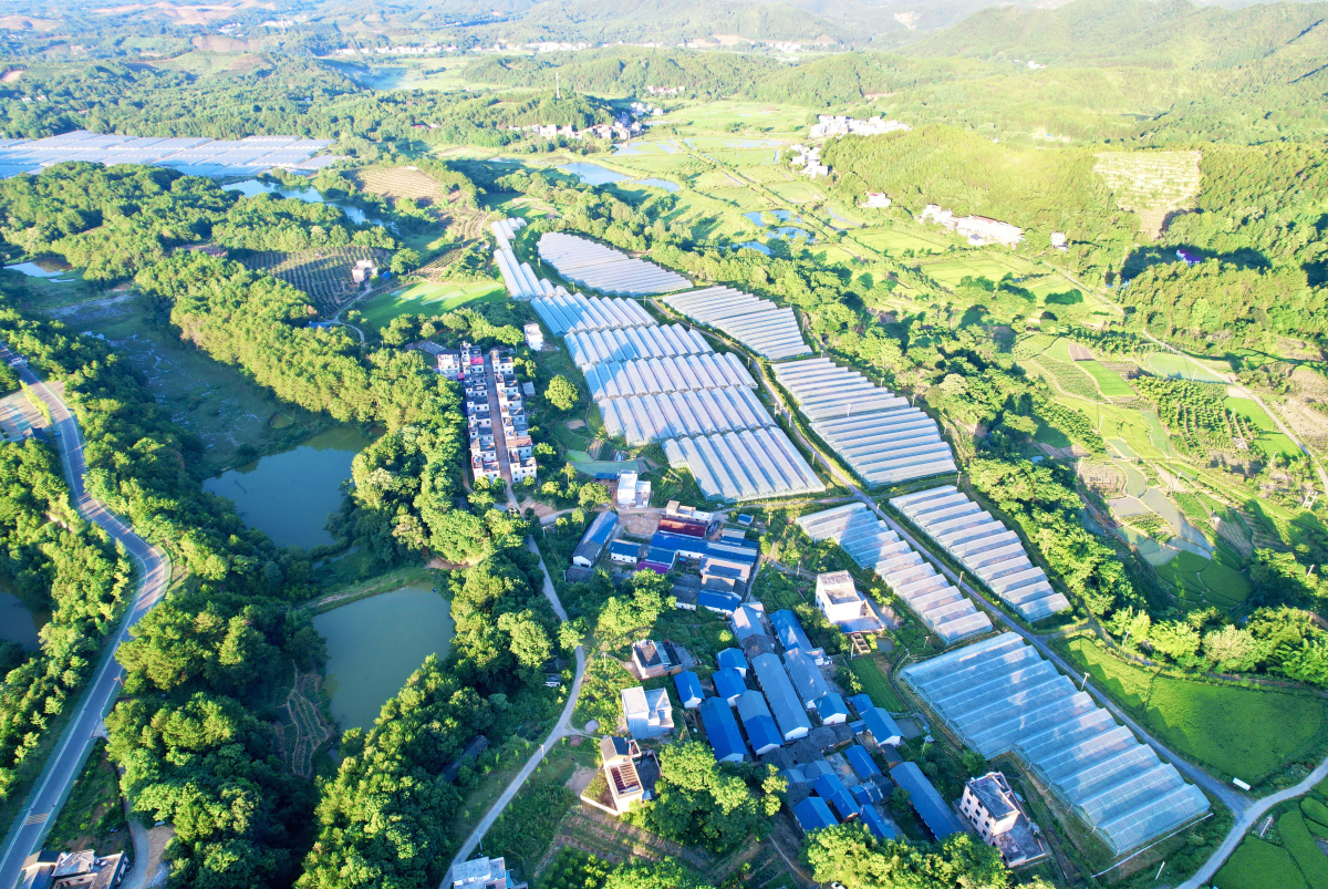 美翻了我的村第55期 | 江西省信豐縣田垅畬族村：秀美鄉村 愛在田垅
